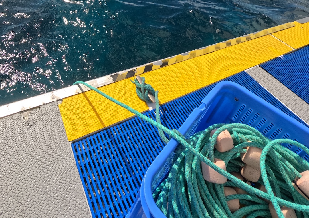 The line attached to the bollard with the other end in the water